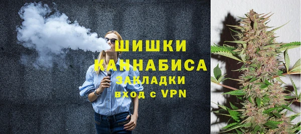 индика Алзамай