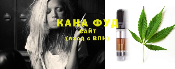 индика Жердевка
