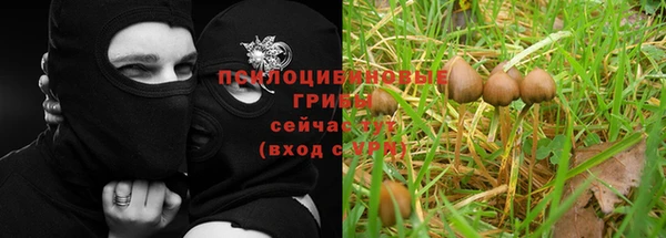 спиды Железногорск-Илимский