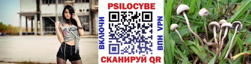hydra ССЫЛКА  Ирбит  Галлюциногенные грибы мицелий 